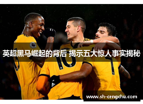 英超黑马崛起的背后 揭示五大惊人事实揭秘 英超黑马崛起的背后 揭示五大惊人事实揭秘