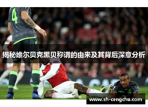 揭秘维尔贝克黑贝称谓的由来及其背后深意分析 揭秘维尔贝克黑贝称谓的由来及其背后深意分析