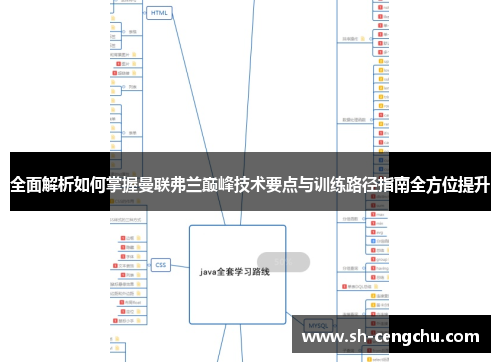 全面解析如何掌握曼联弗兰巅峰技术要点与训练路径指南全方位提升